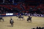 Quadrille - 00750